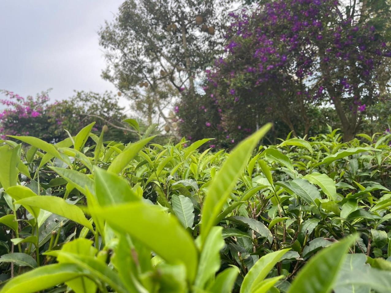 Tea Garden House Villa Bao Loc Exterior photo