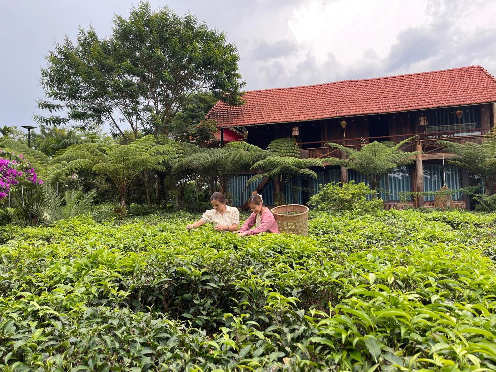 Tea Garden House Villa Bao Loc Exterior photo