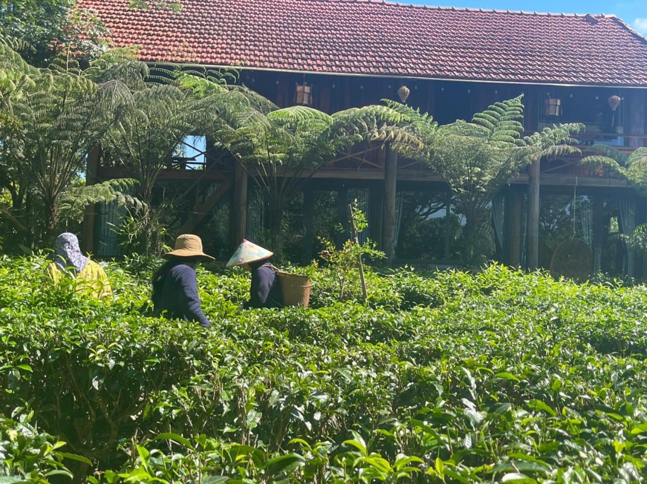 Tea Garden House Villa Bao Loc Exterior photo